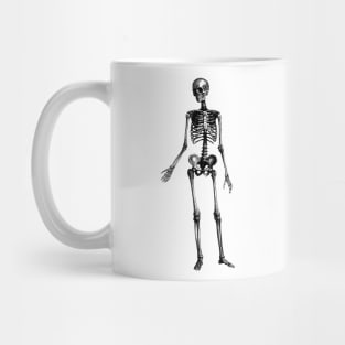 Human Body - Skeleton Mug